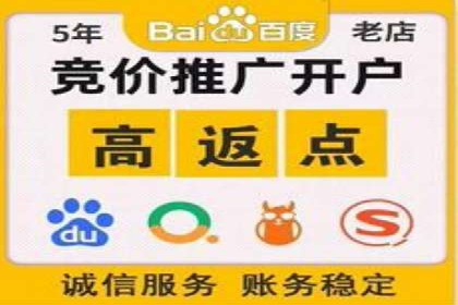 百度平台推广：成功案例解析与效果分析